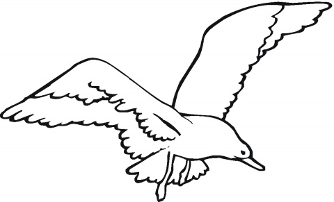 Seagull outline free.