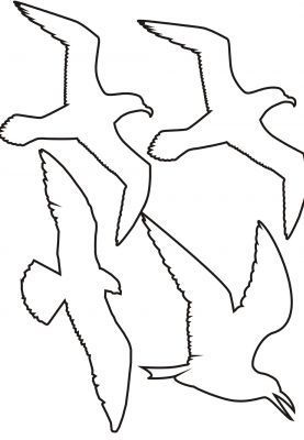 seagull clipart outline