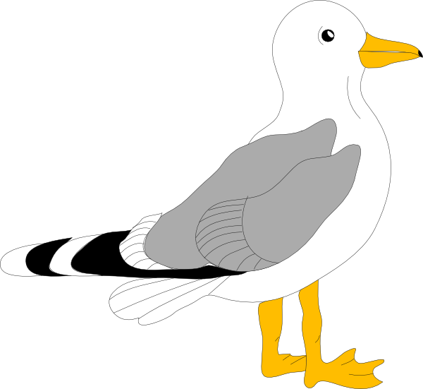 Sea gull cartoon.