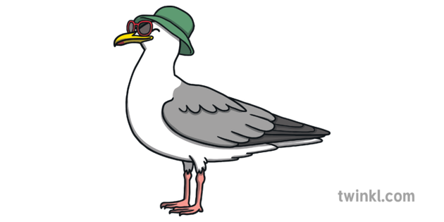 Sammy Seagull Bird Seaside Wildlife EYFS Illustration