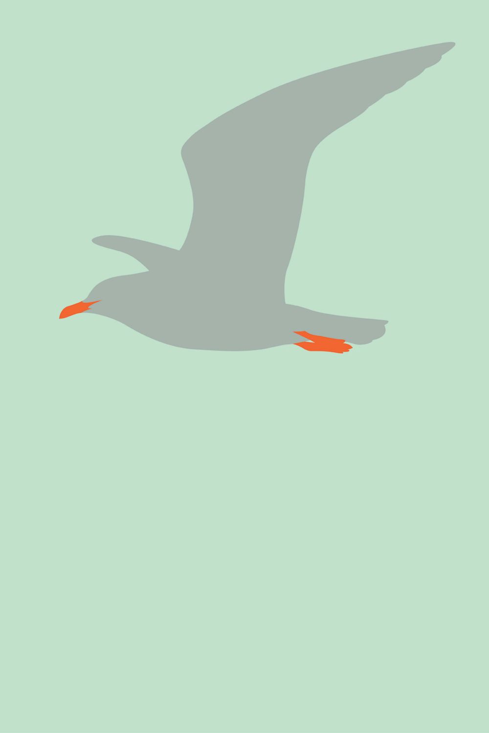 Seagull illustration nautical.