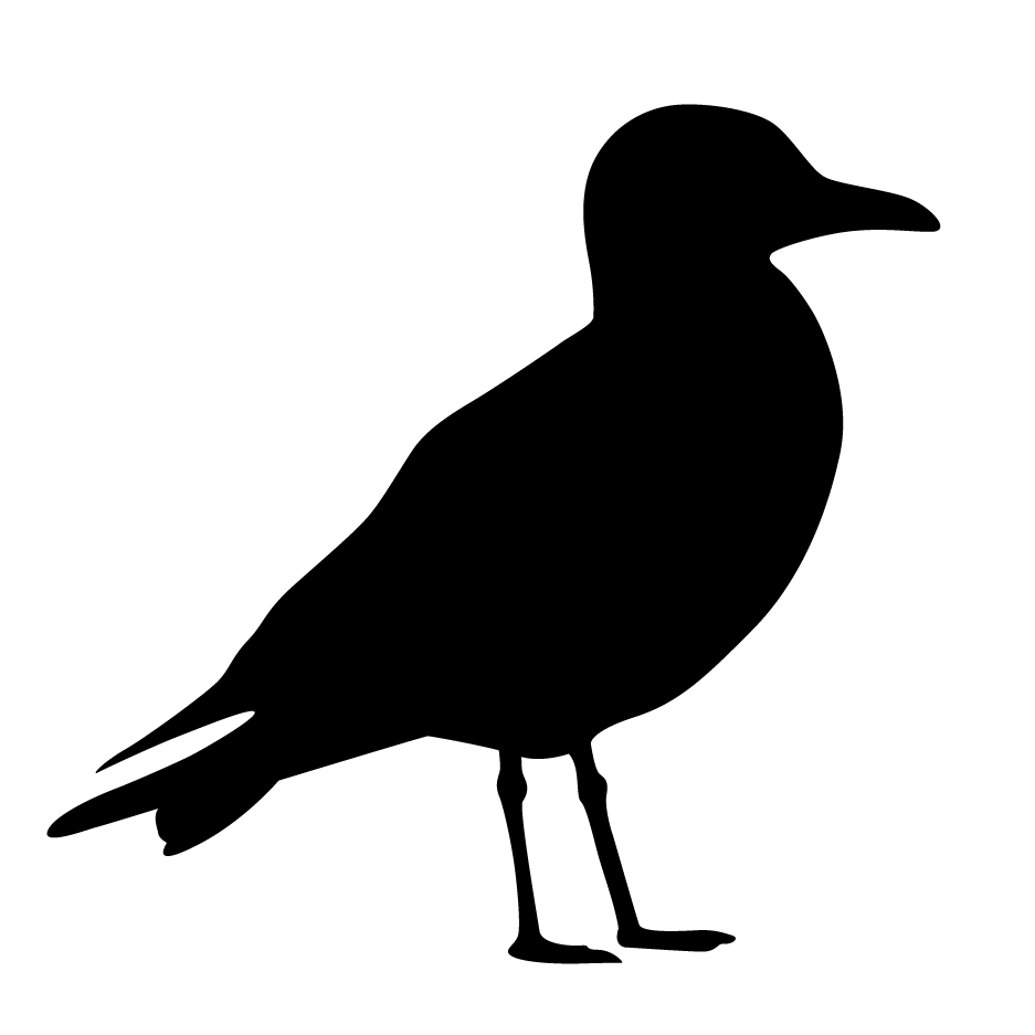 Seagull silhouette stencil.