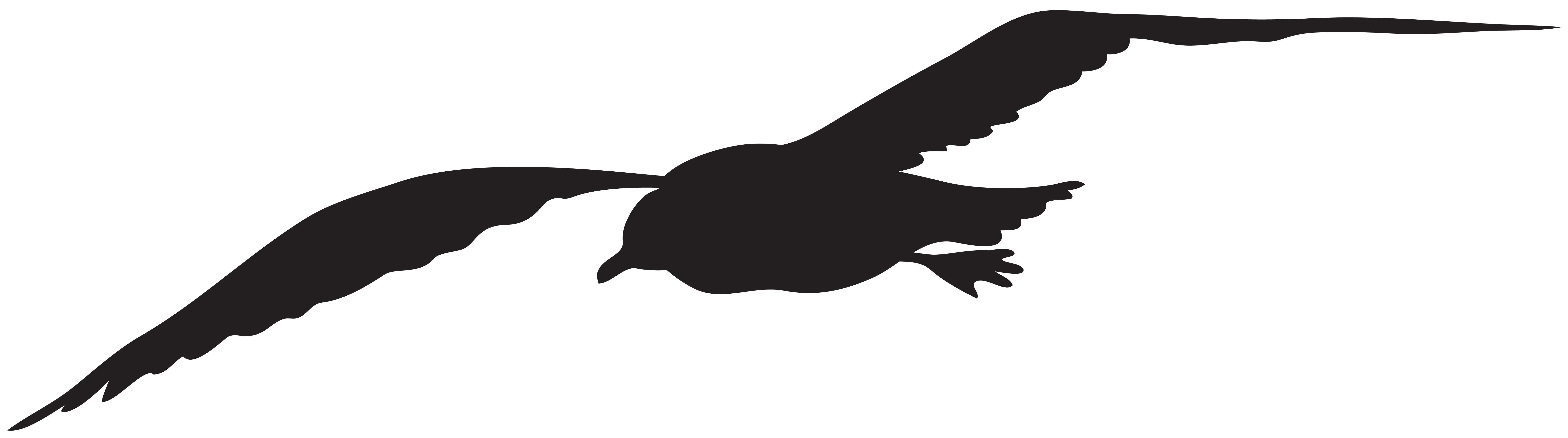 Seagull Silhouette PNG Clip Art Image