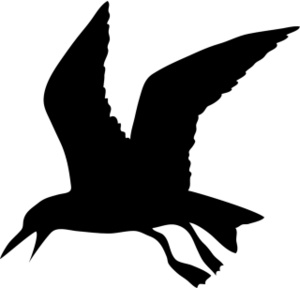 Free seagull silhouette.