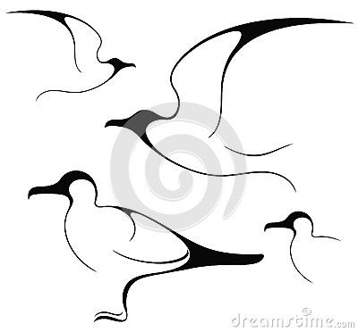 Seagull illustration google.