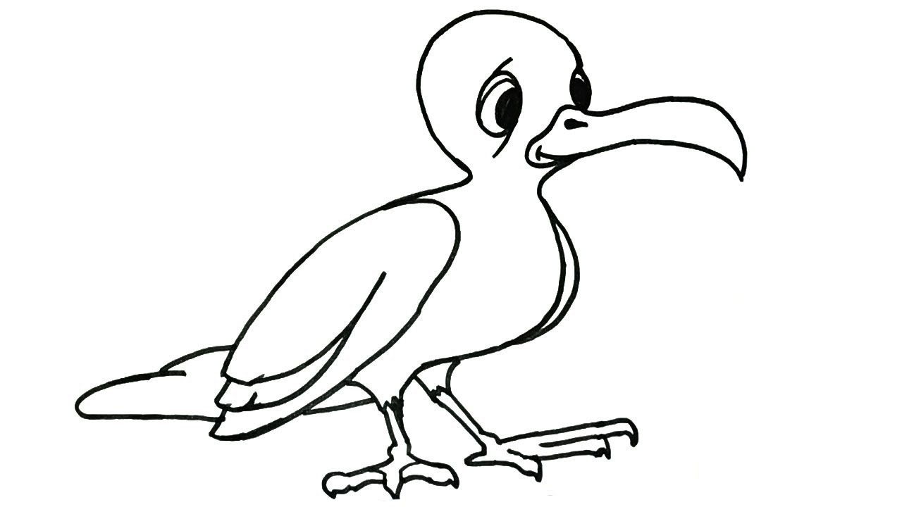 How draw seagull.