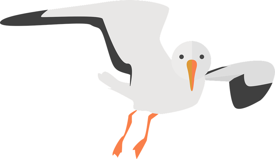 Flying Gull Victor Clipart PNG Image