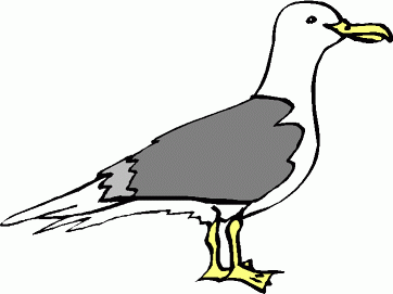 Seagull clipart black and white free clipart images image