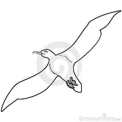 Seagull clipart black and white