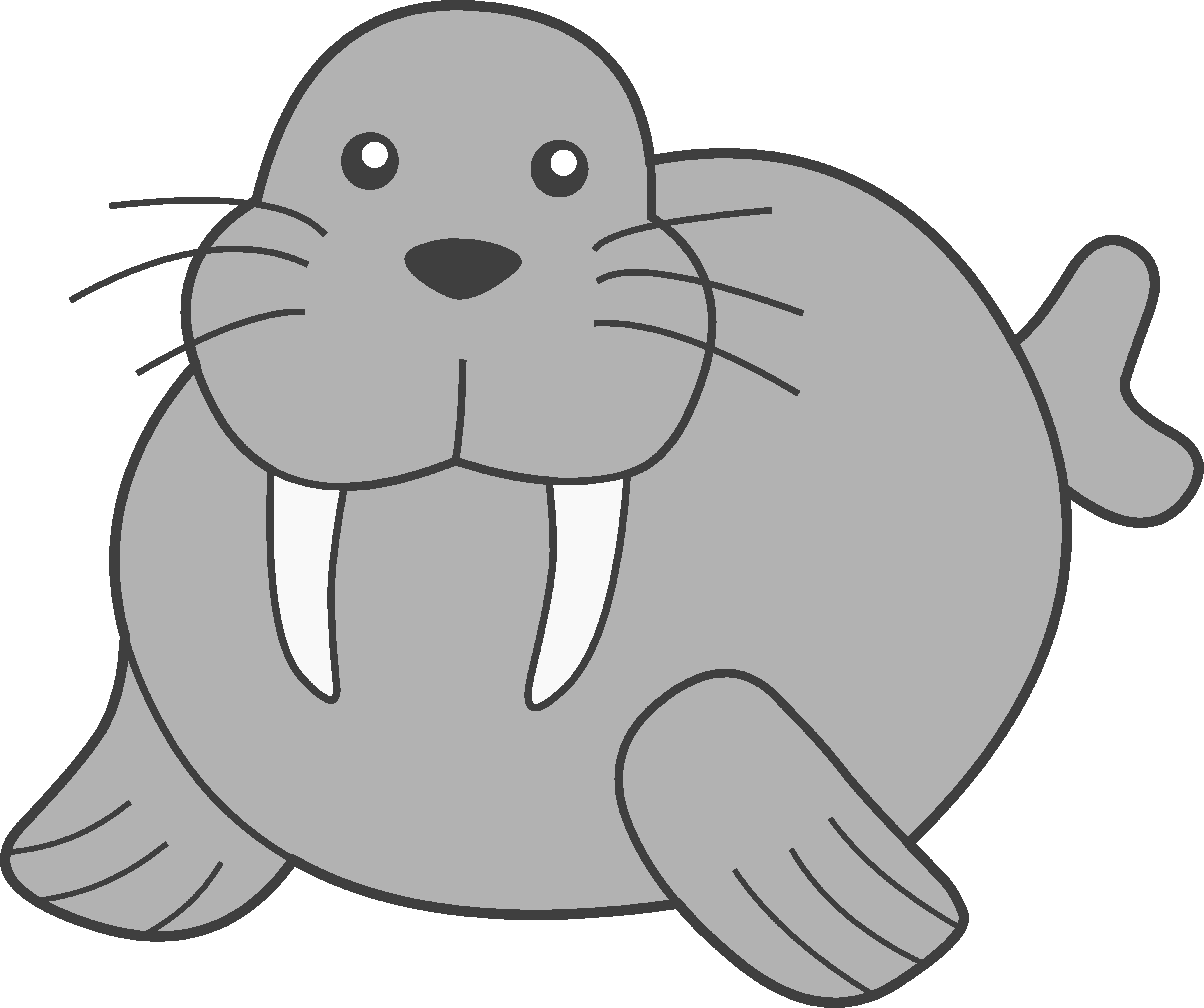 Seal clipart adorable.