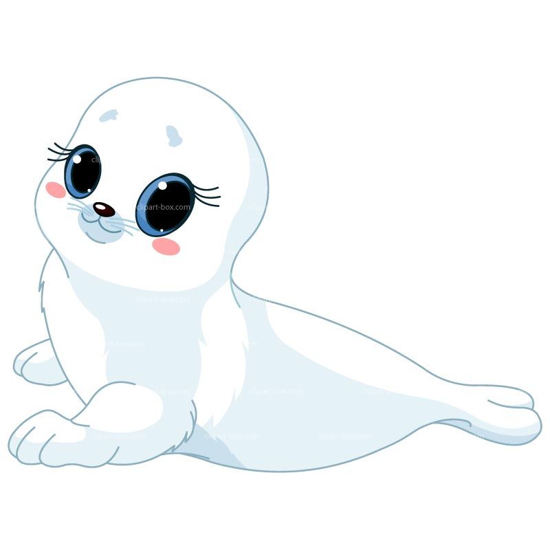 CLIPART WHITE BABY SEAL