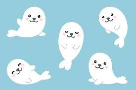 Image result for cute seal clipart