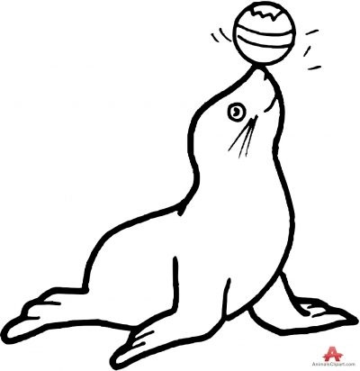 Seal Clipart Black And White