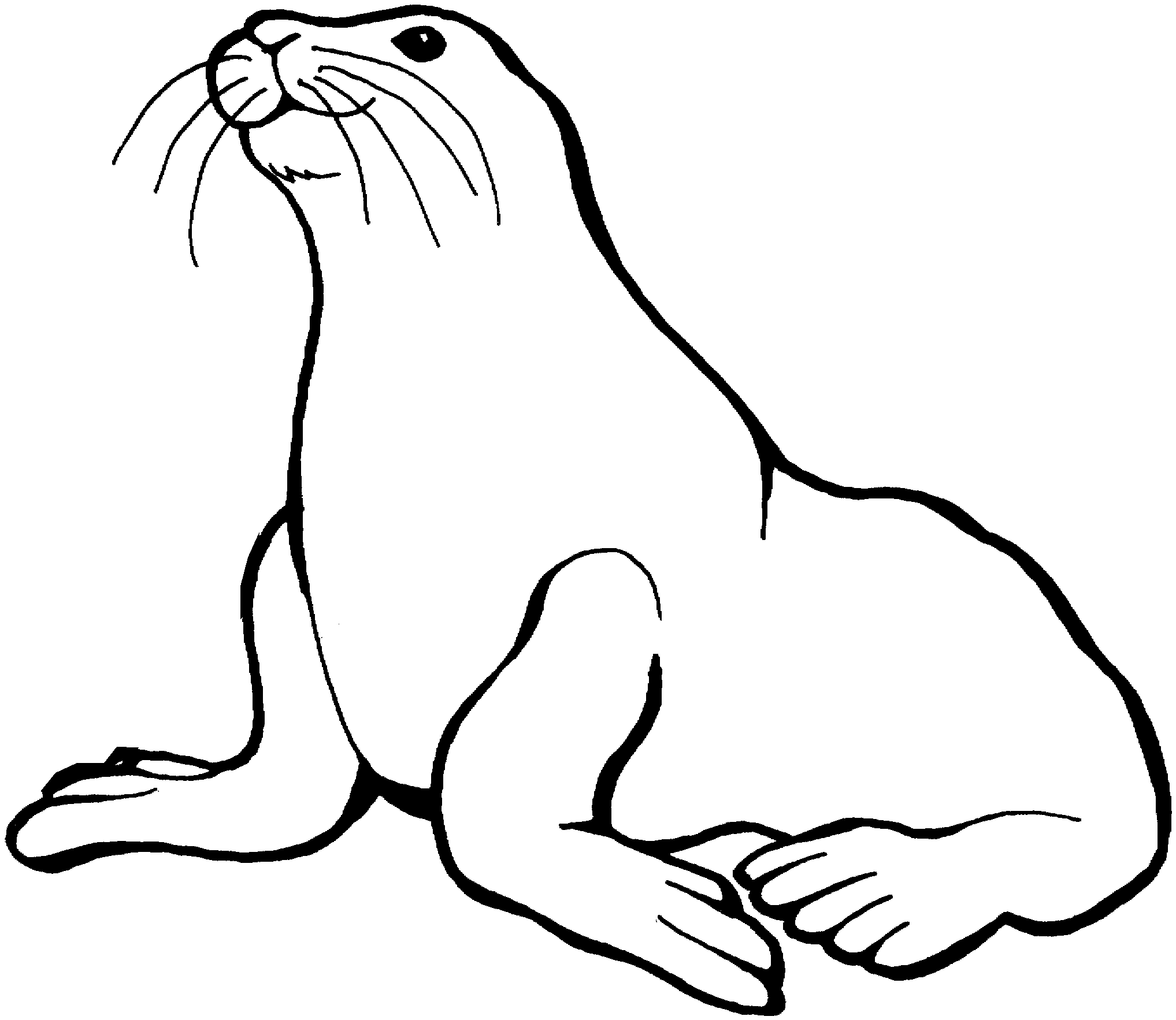 Free white seal.