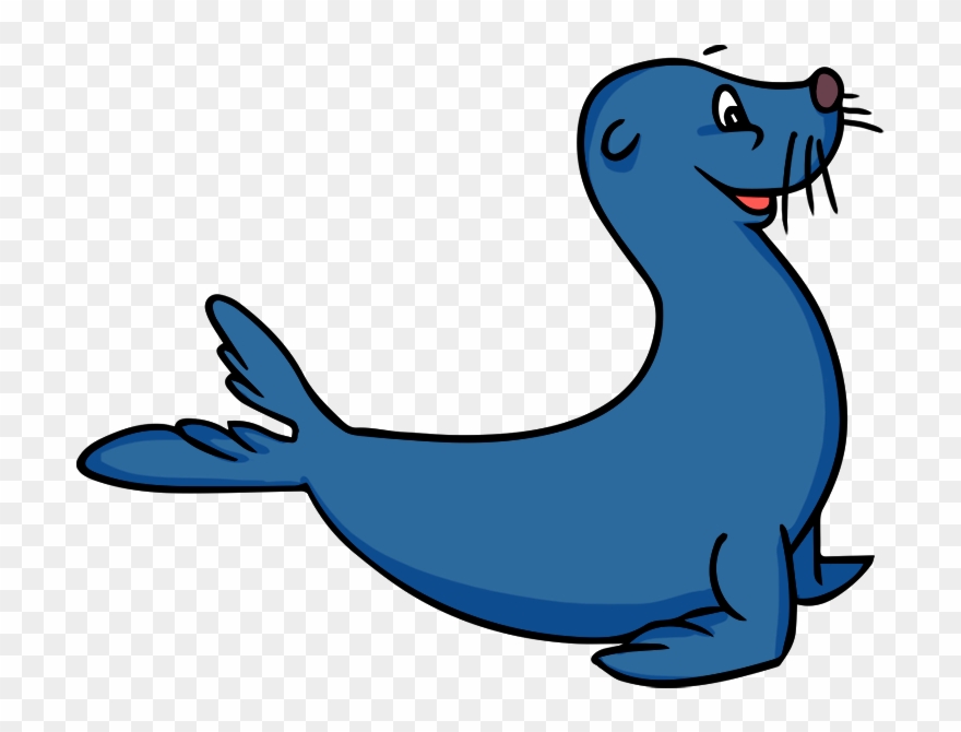 Seal clipart png.