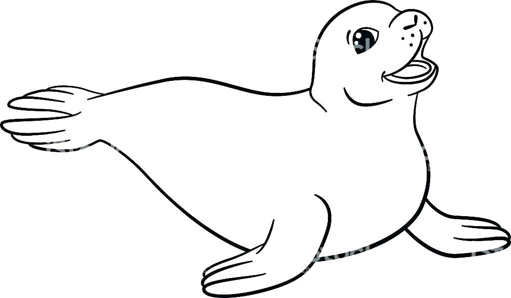 Sea lion coloring pages sea lion coloring page seal coloring