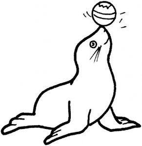 Monk Seal Colouring Pages for Kids