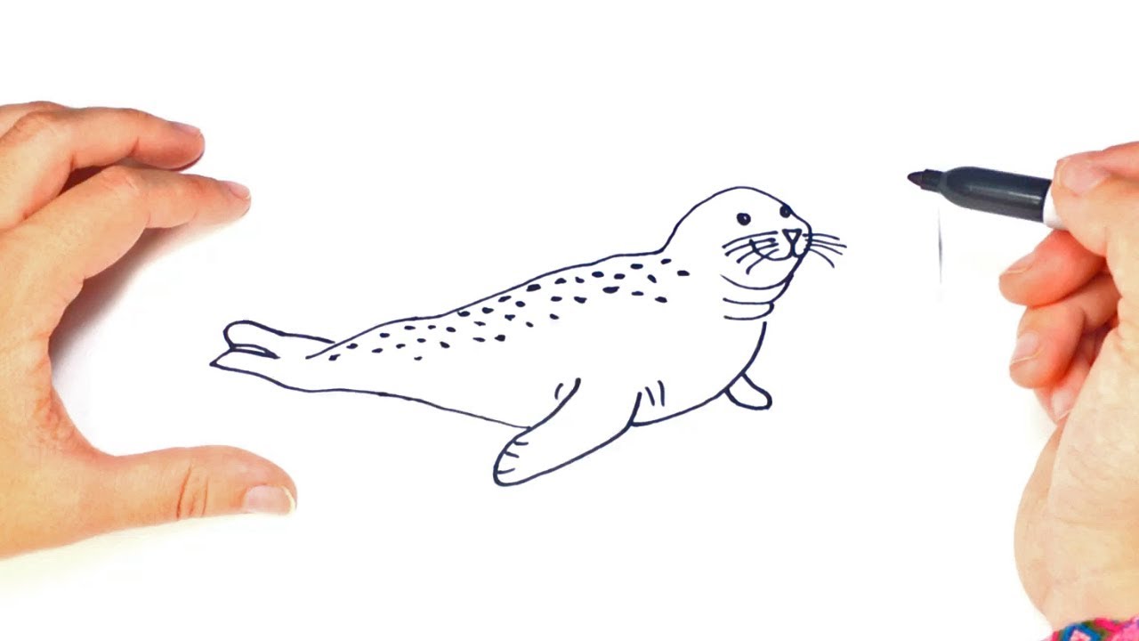 How draw seal.