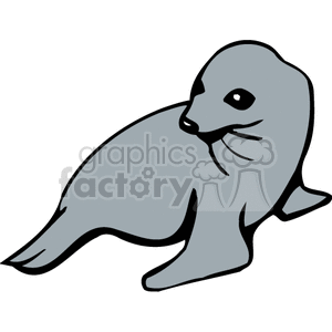 Smal gray seal.