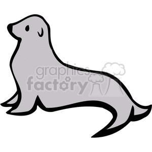 Young seal gray.