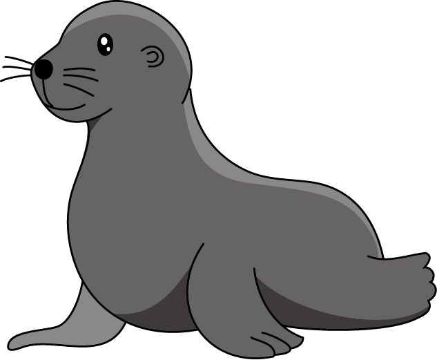 Baby sea lion Elephant seal Clip art