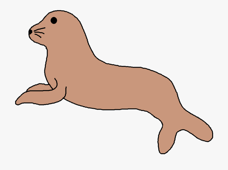 Leopard seal clip.