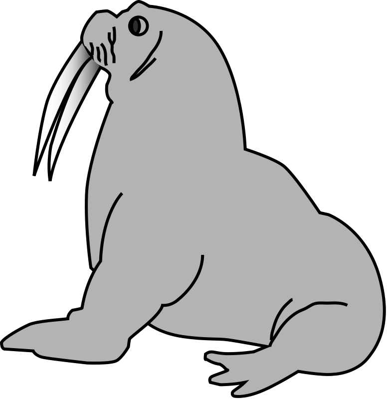 Leopard Seal Clipart printable
