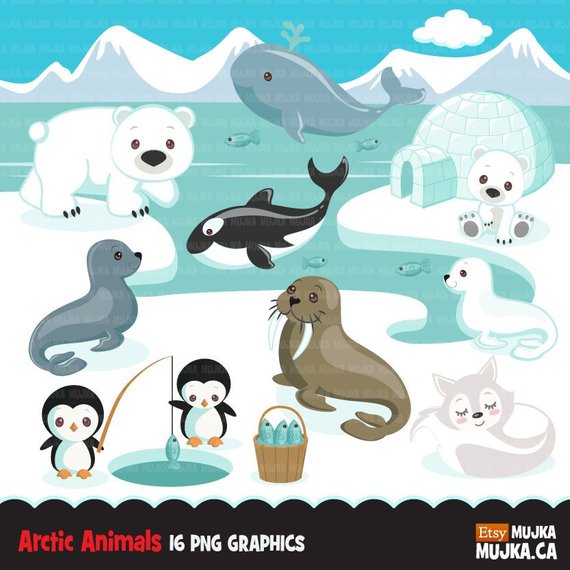 Arctic animals clipart.