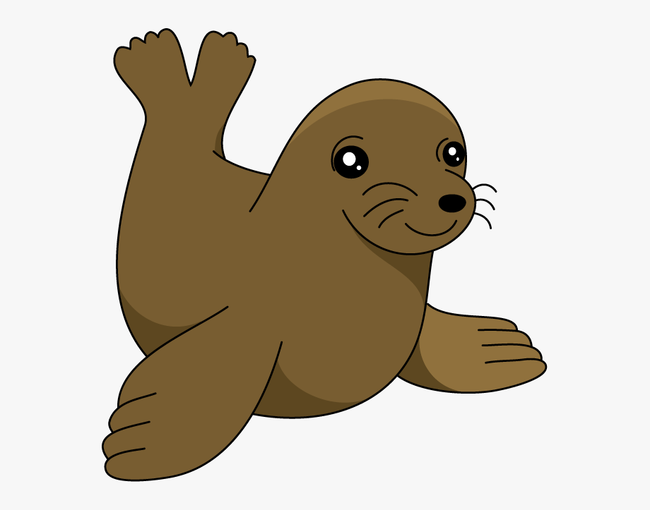 seal clipart pup