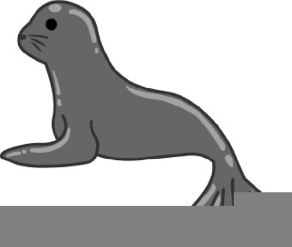 Animal seal clipart.