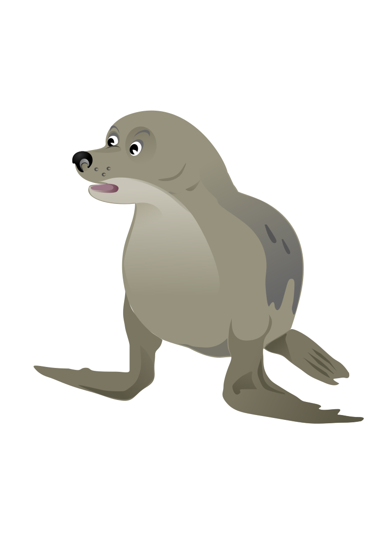 Seal clipart real animal, Seal real animal Transparent FREE