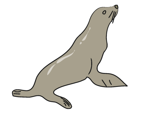 Free Sea Lion Clipart, Download Free Clip Art, Free Clip Art