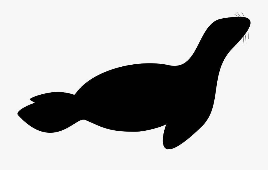 Leopard seal silhouette.
