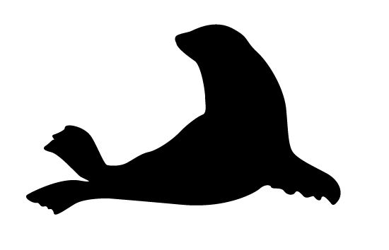 Seal silhouette vector