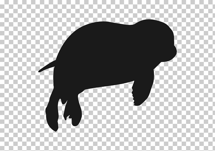 Pinniped Silhouette Harp seal , nature sea animals seals PNG
