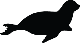 Seal Silhouette