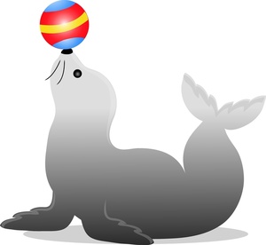 Free Free Trained Seal Clip Art Image