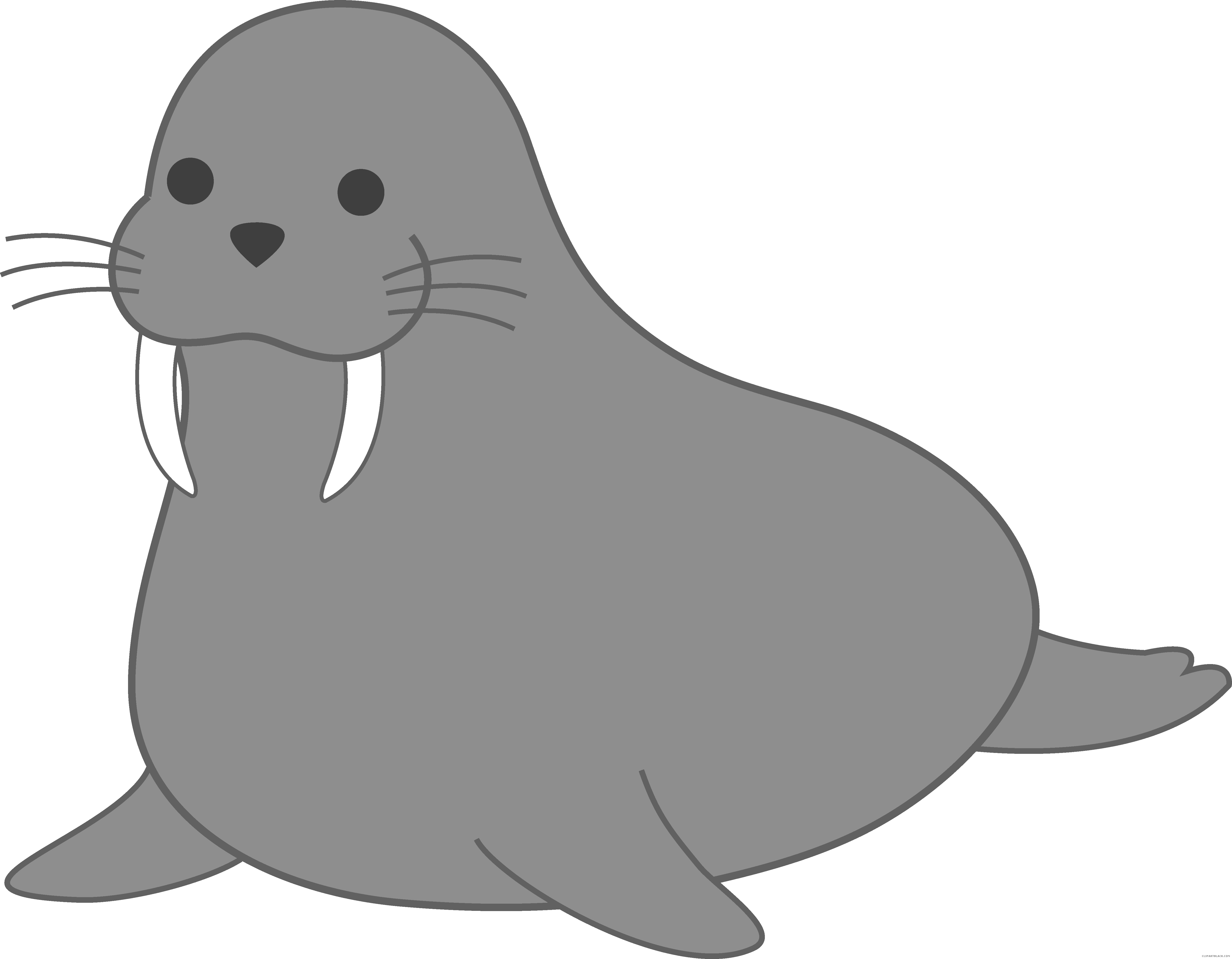 Walrus earless seal.