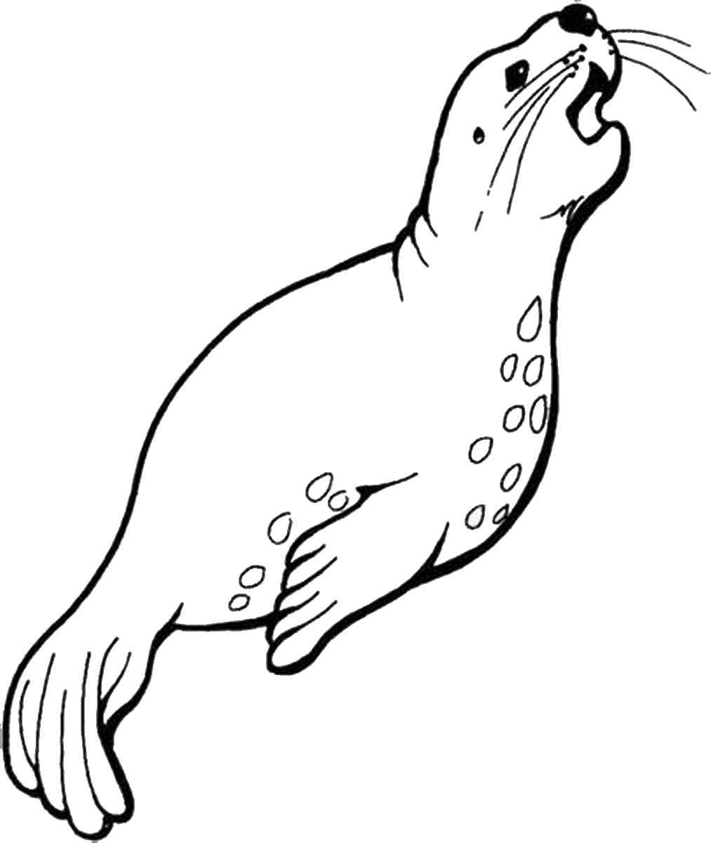 Seal Clipart Black And White