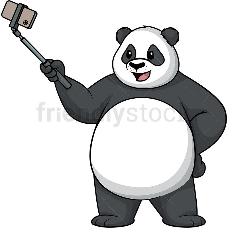 Panda Taking A Selfie