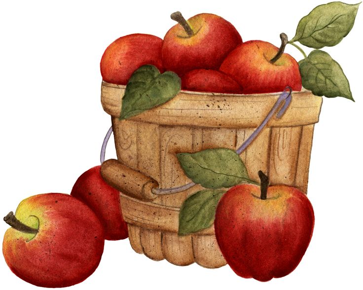 Best apple basket.