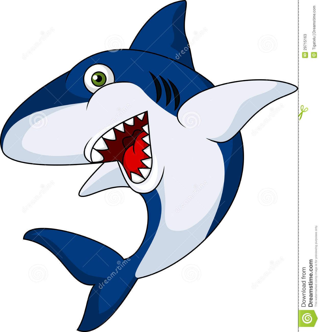 Cartoon shark images.
