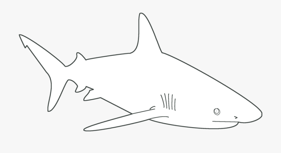 Free shark template.