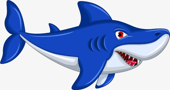 Blue shark clipart.