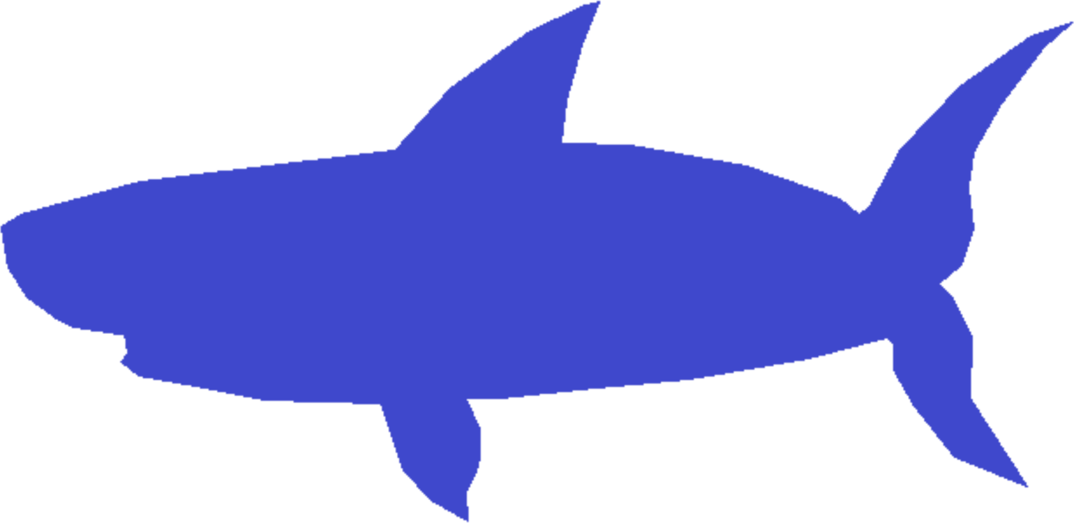 Cobalt bluesharkwhales dolphins.