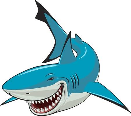 Cartoon shark clipart.