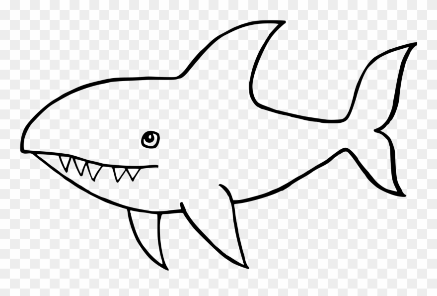 Great White Shark Drawing
