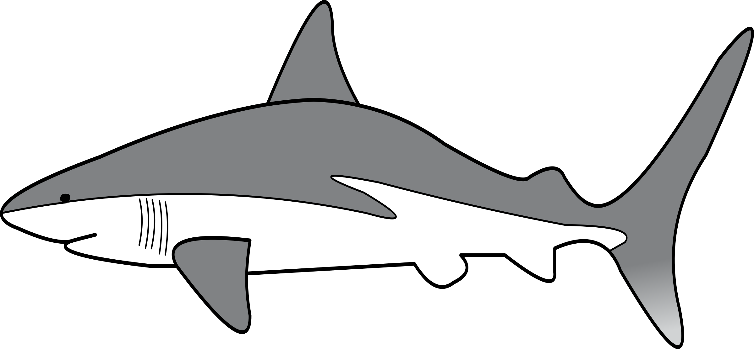 Simple shark drawing.