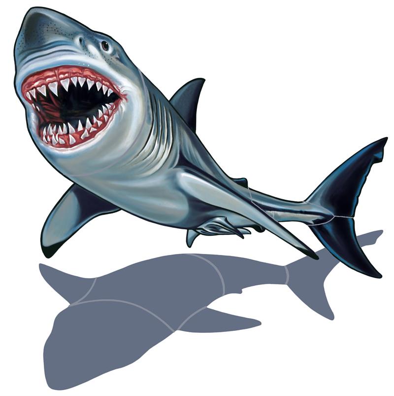 Free Great White Shark Clipart, Download Free Clip Art, Free