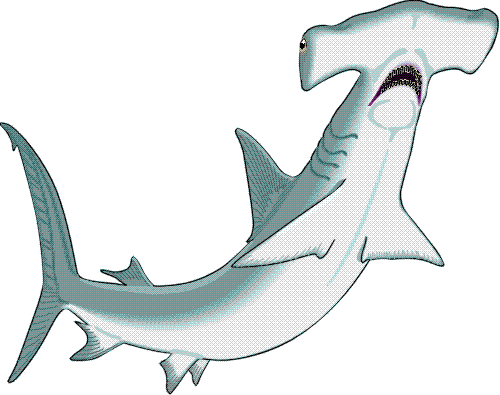 Free Cartoon Hammerhead Shark, Download Free Clip Art, Free